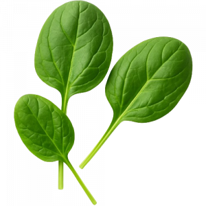 Spinach