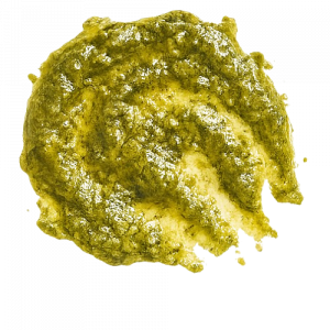 Pesto Sauce